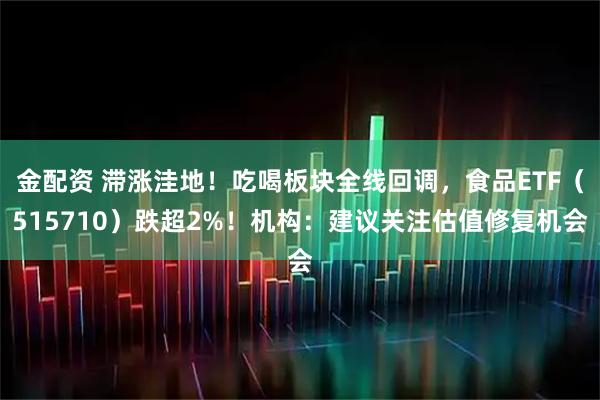 金配资 滞涨洼地！吃喝板块全线回调，食品ETF（515710）跌超2%！机构：建议关注估值修复机会