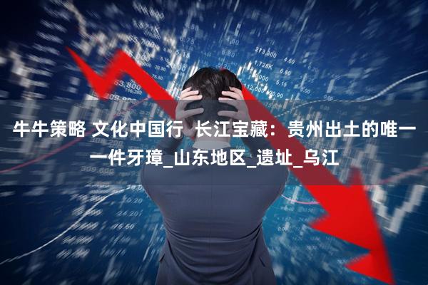 牛牛策略 文化中国行  长江宝藏：贵州出土的唯一一件牙璋_山东地区_遗址_乌江