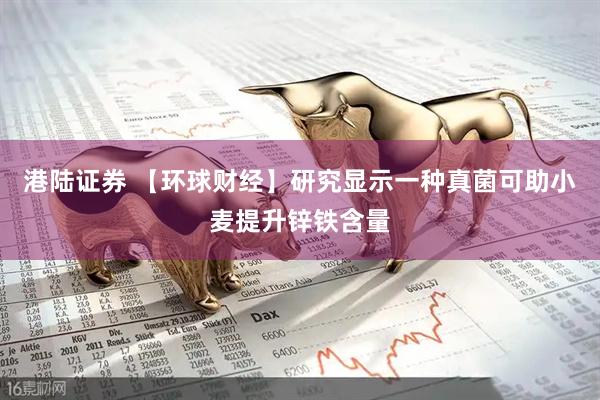 港陆证券 【环球财经】研究显示一种真菌可助小麦提升锌铁含量