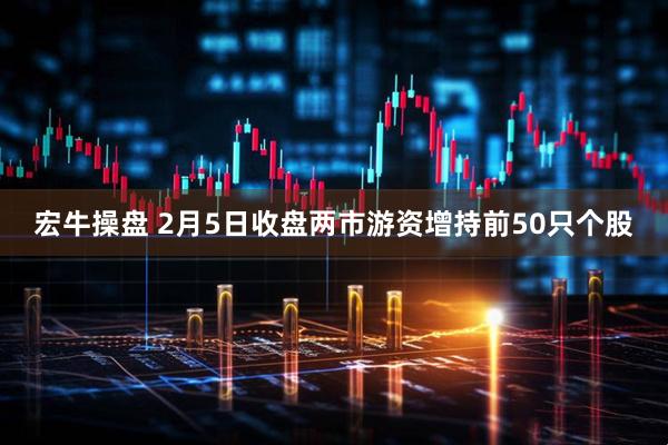 宏牛操盘 2月5日收盘两市游资增持前50只个股