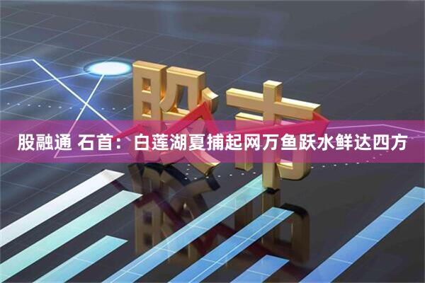 股融通 石首：白莲湖夏捕起网万鱼跃水鲜达四方