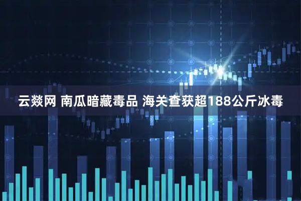 云燚网 南瓜暗藏毒品 海关查获超188公斤冰毒