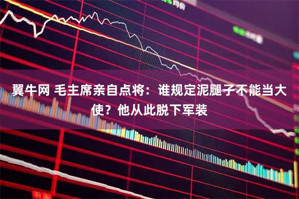 翼牛网 毛主席亲自点将：谁规定泥腿子不能当大使？他从此脱下军装